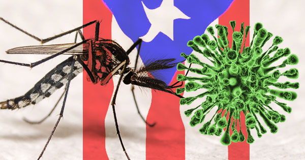 dengue puerto rico coronavirus