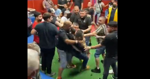 puerto rico cockfights