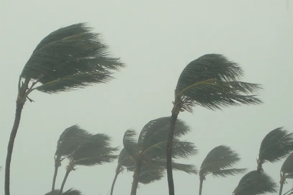 hurricane ernesto winds