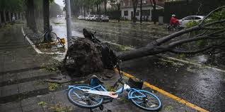 Shanghai faces the most powerful typhoon in years, bringing the city to a halt.