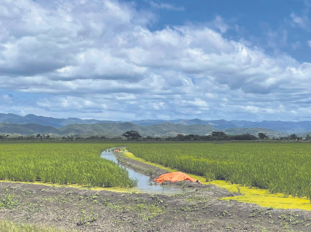 Lajas Valley defense front calls on candidates to pledge their dedication to preserving & enhancing agricultural land