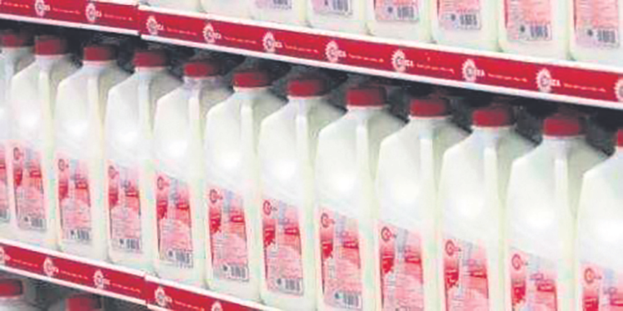 Milk output anticipated to revert to standard levels