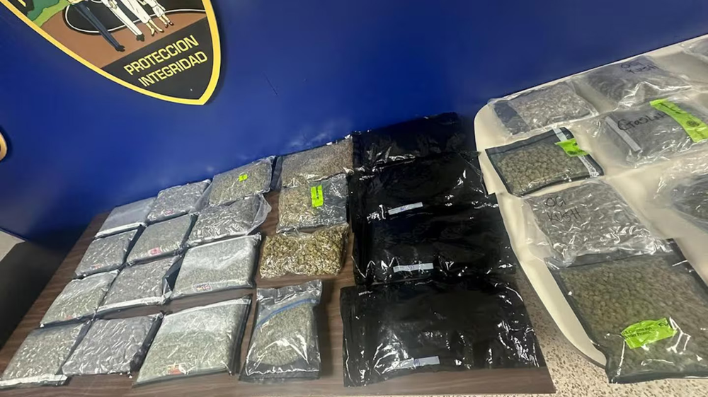 Police confiscate 35 pounds of marijuana in personal mail at airport