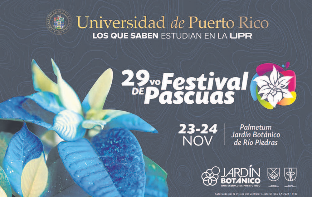 UPR set to host the 29th Christmas Festival